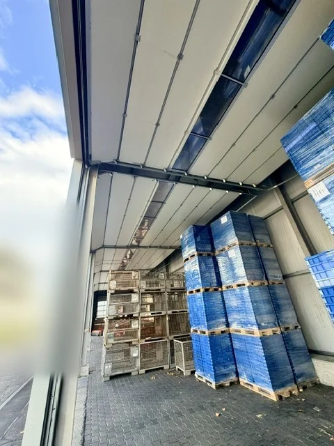 TRS263CS – Interno con intradosso della copertura, trave e arcarecci.